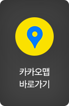 카카오맵
