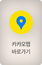 카카오맵2